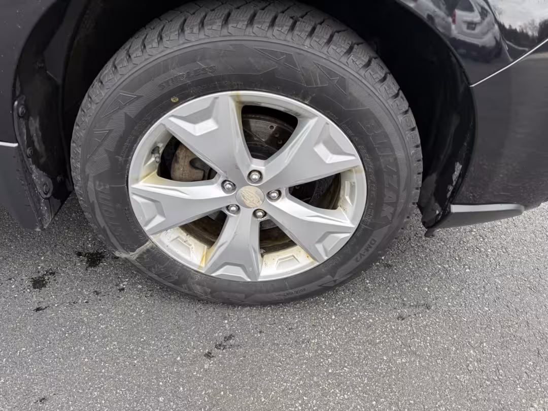 2015 Subaru Forester - JF2SJADC9FH447132 - Image #15